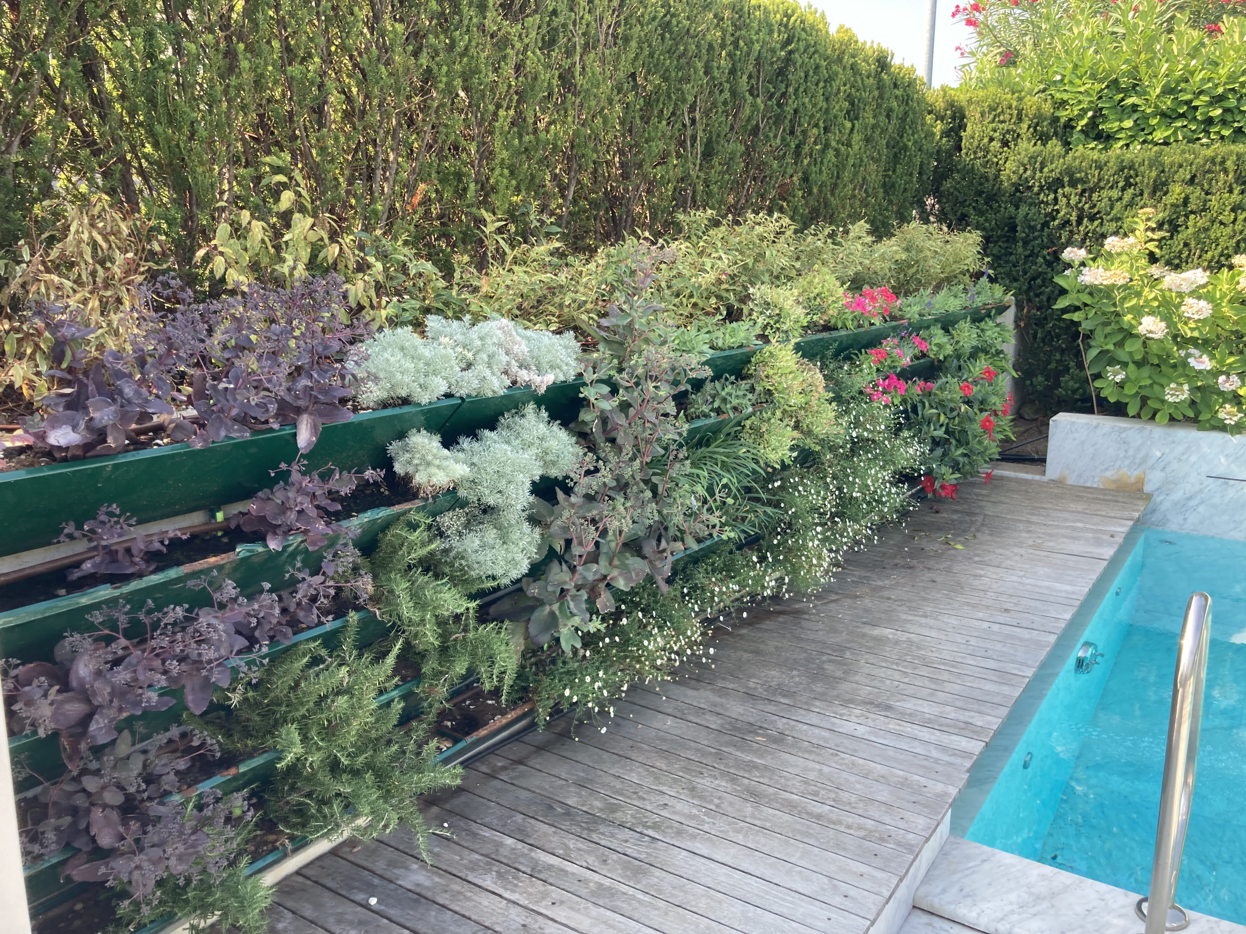 Bilder Galli Garden Sagl