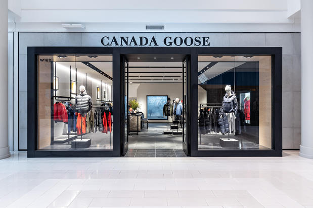 Images Canada Goose Minnesota