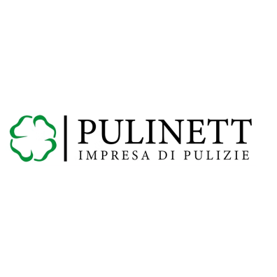 Pulinett Logo