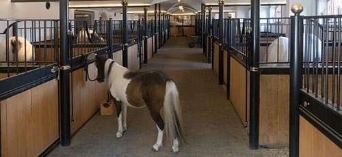 AK-Spezialreinigung by otc-kri7 GmbH, Wiedner Hauptstrasse 65 in Wien