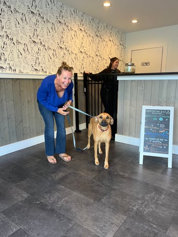 Images Playtime Pet Resort
