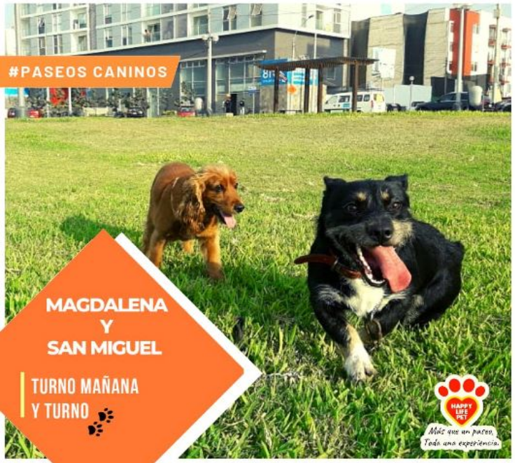 Happy Life Pet Dog Walking Lima