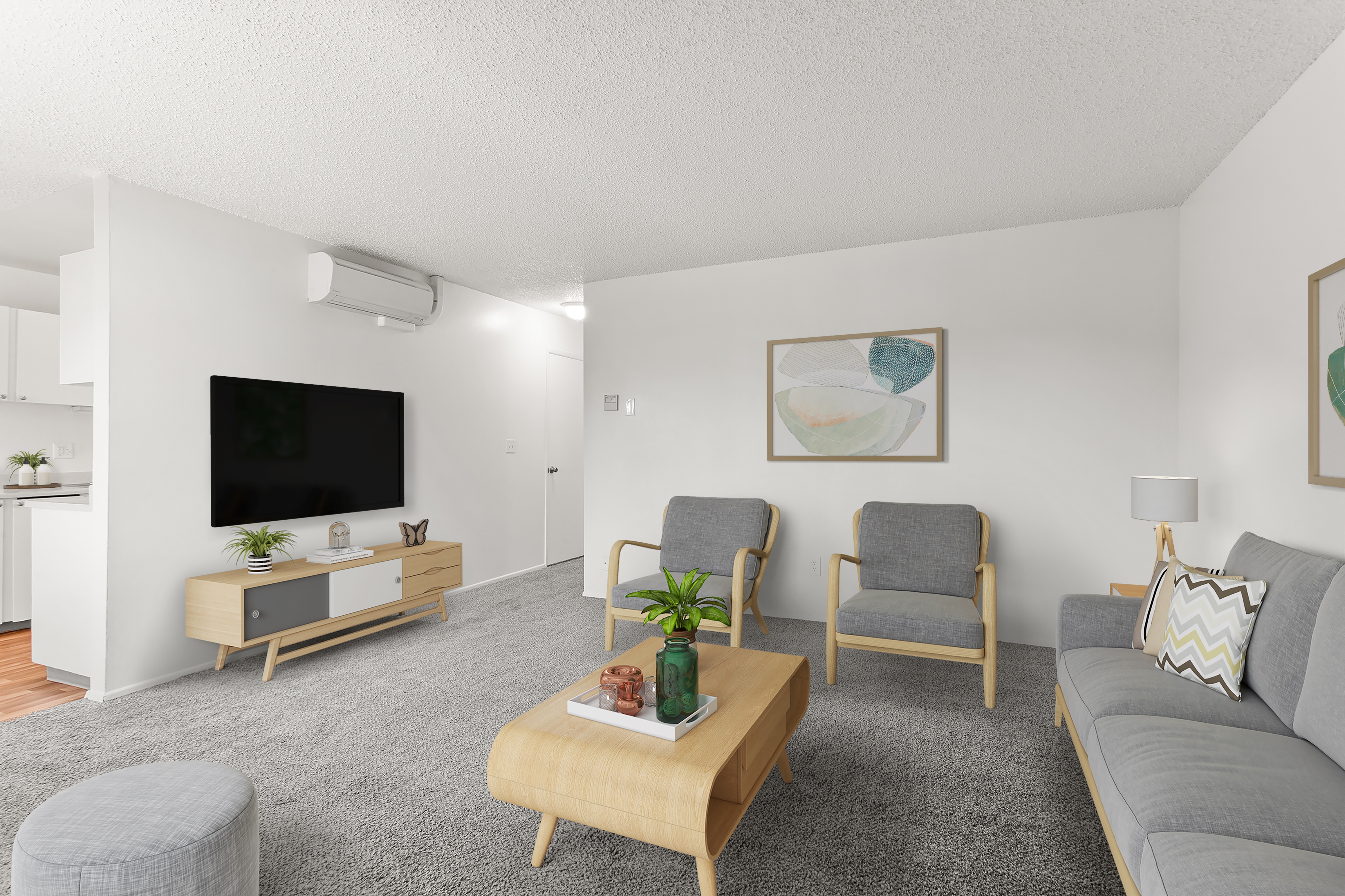 Living room with grey couch