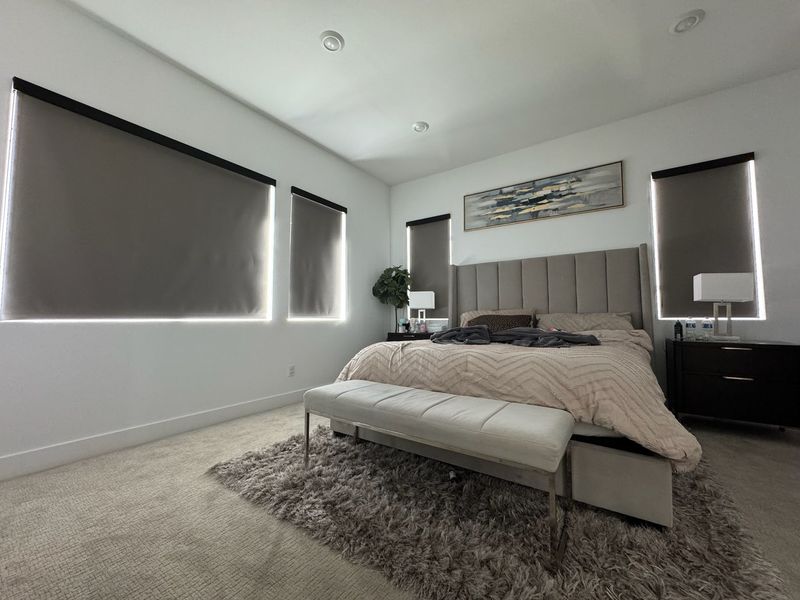 These sleek blackout roller shades provide ultimate light control and privacy for a contemporary bedroom. Their dark gray tone perfectly complements the room&rsquo;s neutral palette, creating a cozy and restful atmosphere.