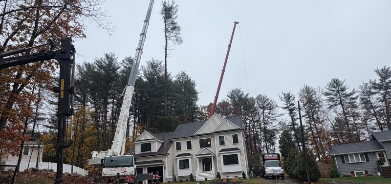Martel Crane Service & Tree Removal Image