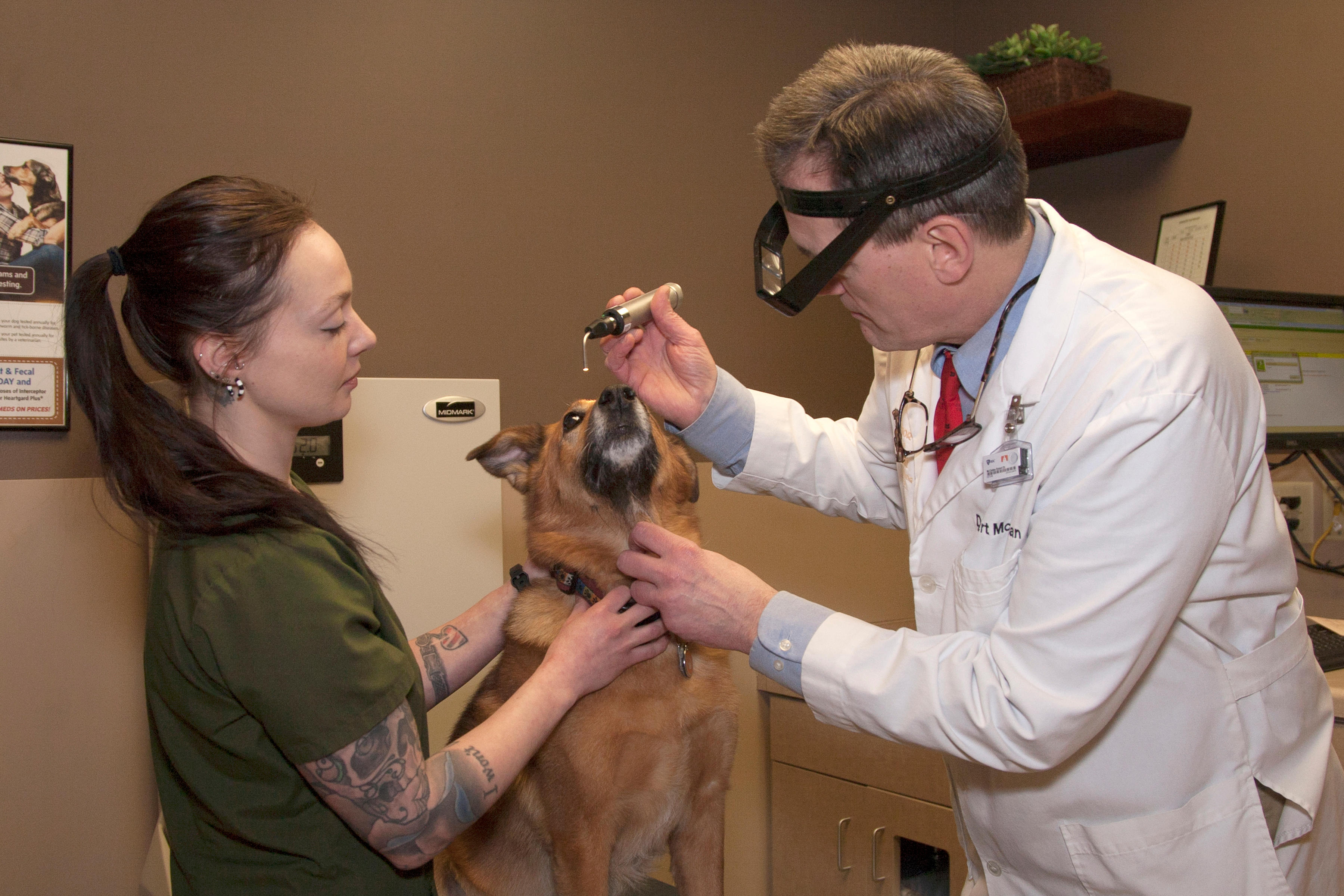 An assessment of the eyes is just one small part of a comprehensive wellness exam at Superior Animal Hospital. Here, Dr. Robert McClellan checks for unusual coloration, discharge, and other abnormalities.