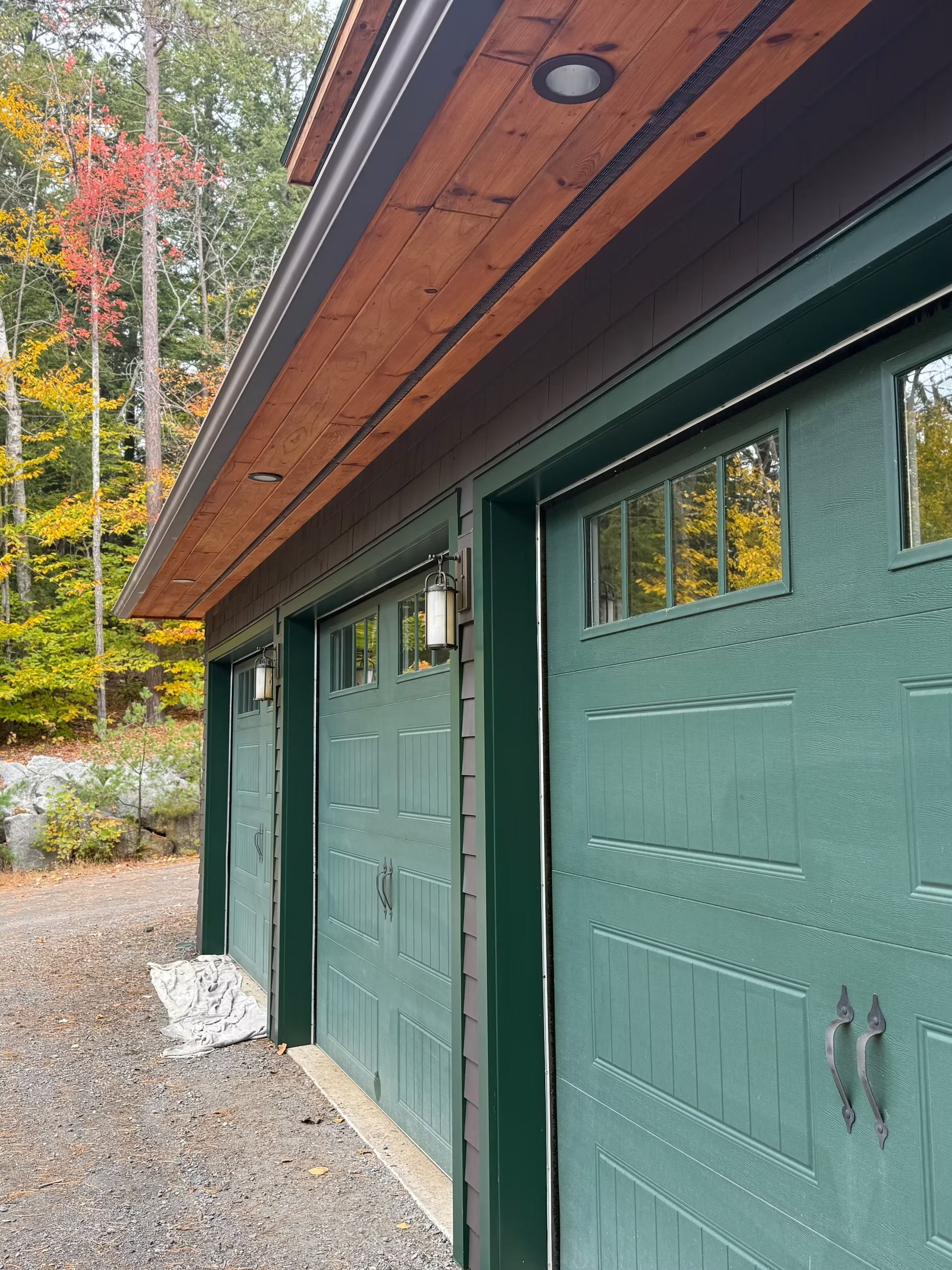 Picture Perfect Pro Painting