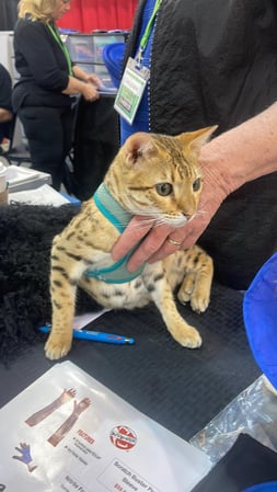Images San Diego Grooming Academy