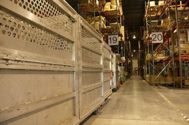 Images Zoyto--Same Day Shipping Before 2PM CST