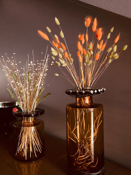 Emilia Mihalydeakpal DaMa Pflanzendesign, Felsplattenstrasse 24 in Basel