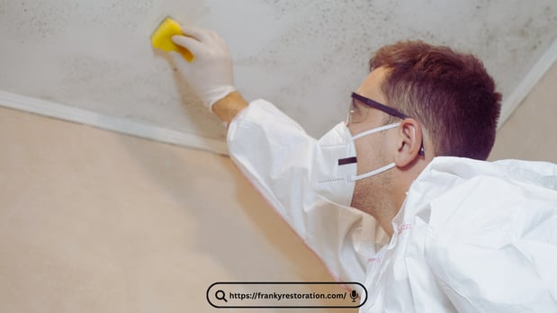 Images Mold Remediation Miami Lakes