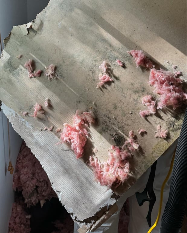 Images Voda Cleaning & Restoration