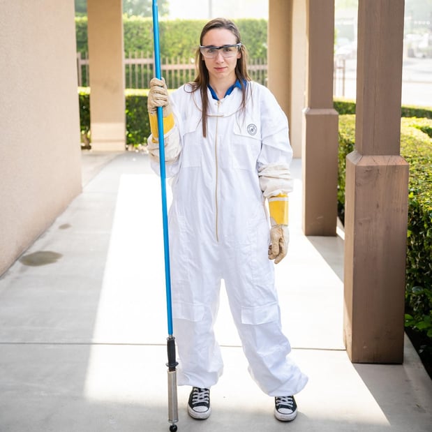 Images American Pest Control