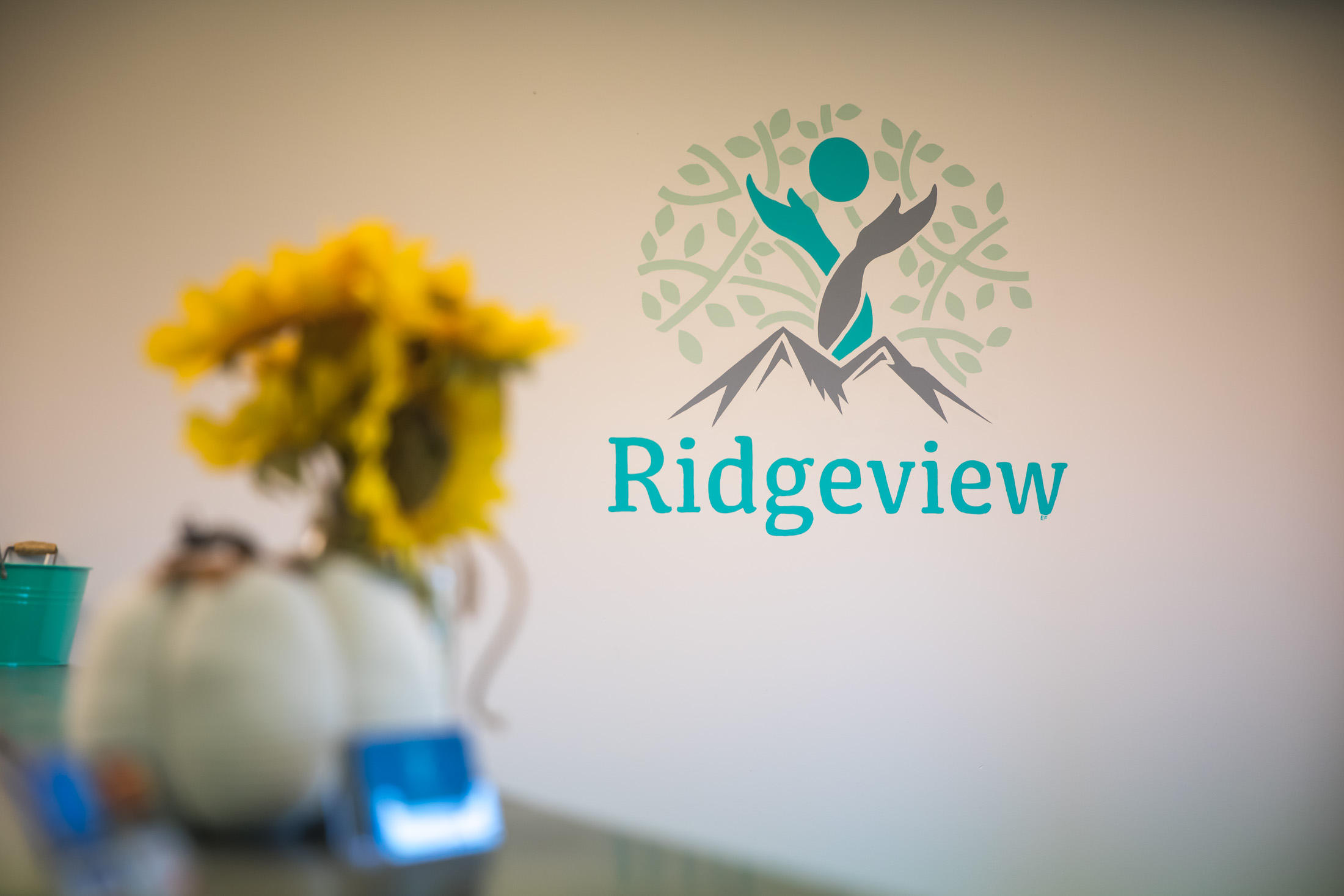 Ridgeview Physical Therapy & Wellness Center Photo