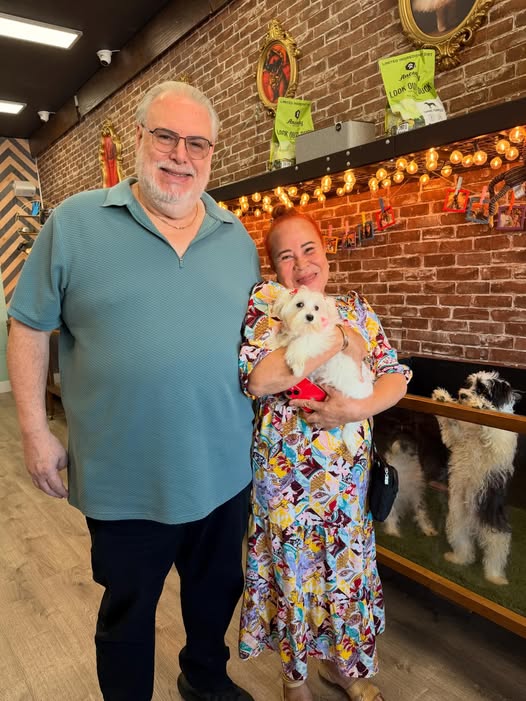 Puppies Direct Image