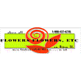Flowers, Flowers Etc