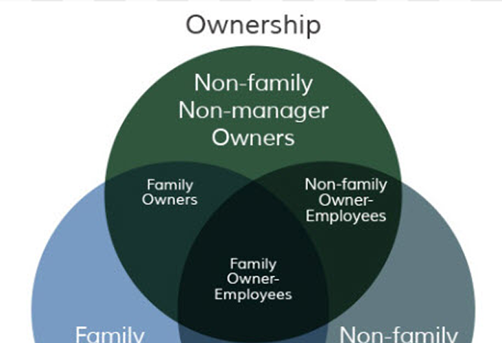 Venn diagram showing the overlaps between family, business, and ownership.