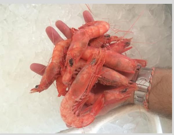 Images City Butcher & Fish