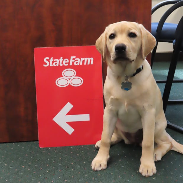 Images Jim Rottkamp - State Farm Insurance Agent