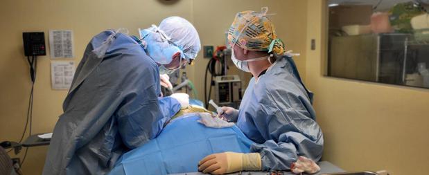 Images VCA SouthPaws Veterinary Specialists & Emergency Center