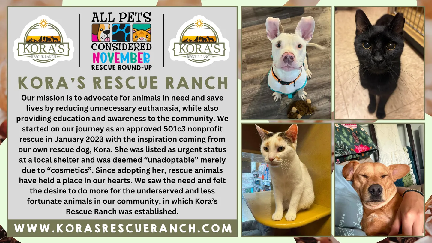 Image of Local Pet Event APC November 2026 Rescue Round-Up Nearby