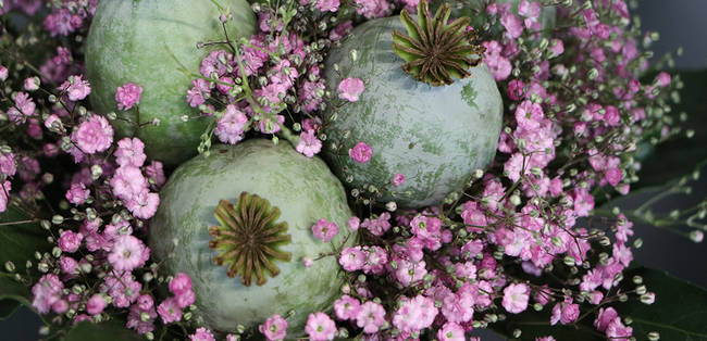 Bild 3 von Gartenbau-Floristik Tauderer