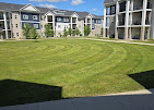 OCD Lawn Image
