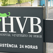 Images Hospital Veterinário de Braga