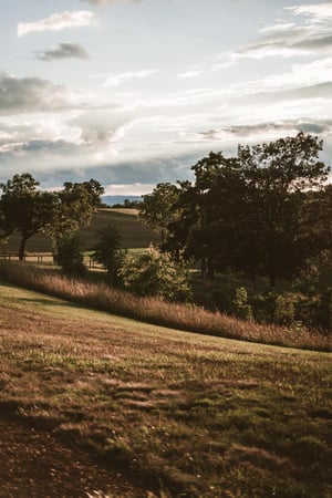 Images On Sunny Slope Farm