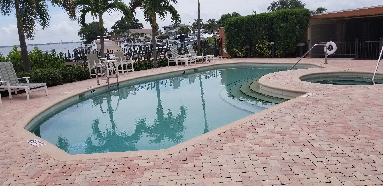 Resort-style community swimming pool with curved edges, broad entry steps, palm trees, and spacious brick paver decking.