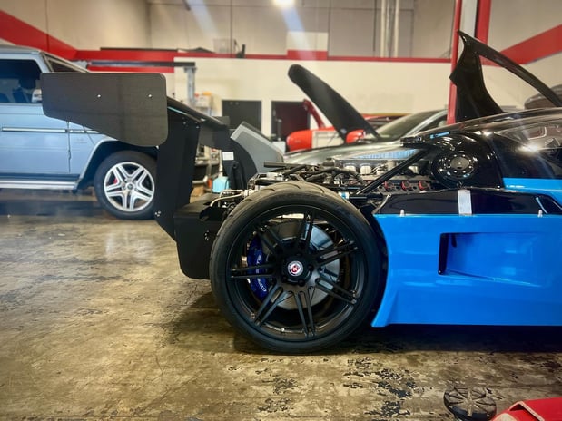 Images Loudoun County Exotics