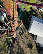 Images Aurora Arbor Care