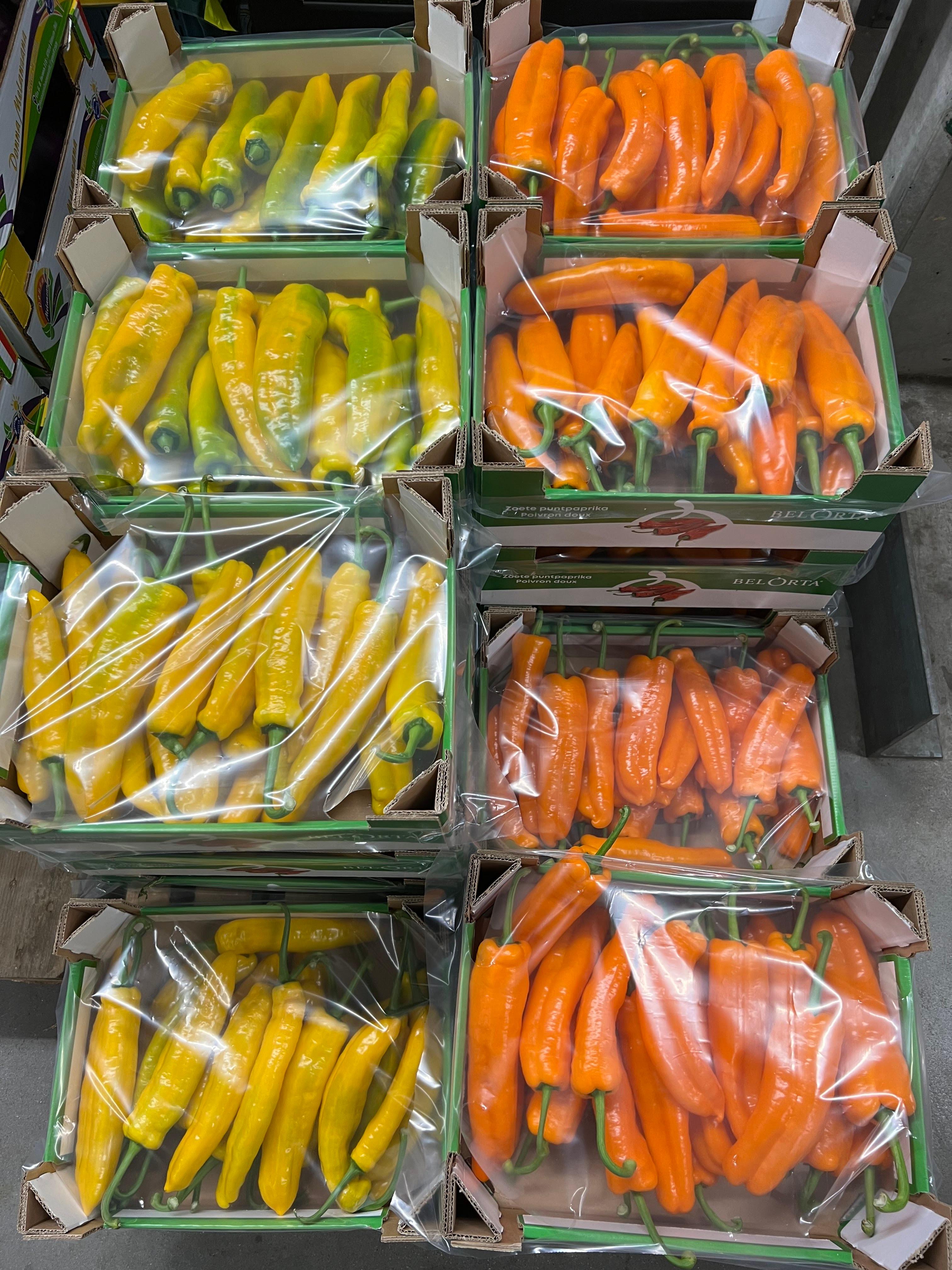 Better&Fresh Foodservice GmbH, Hertzstraße 4c in Rheinstetten