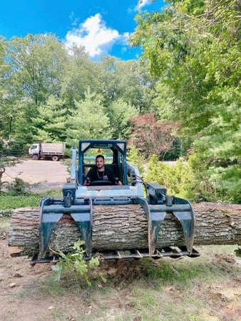 Images Green Outdoors Tree Service