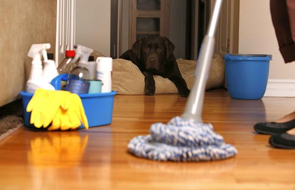 Images Nooks and Crannies Commercial and Residential Cleaning Service