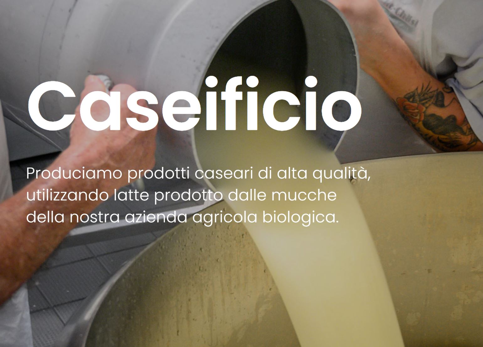 Bilder Caseificio Töira