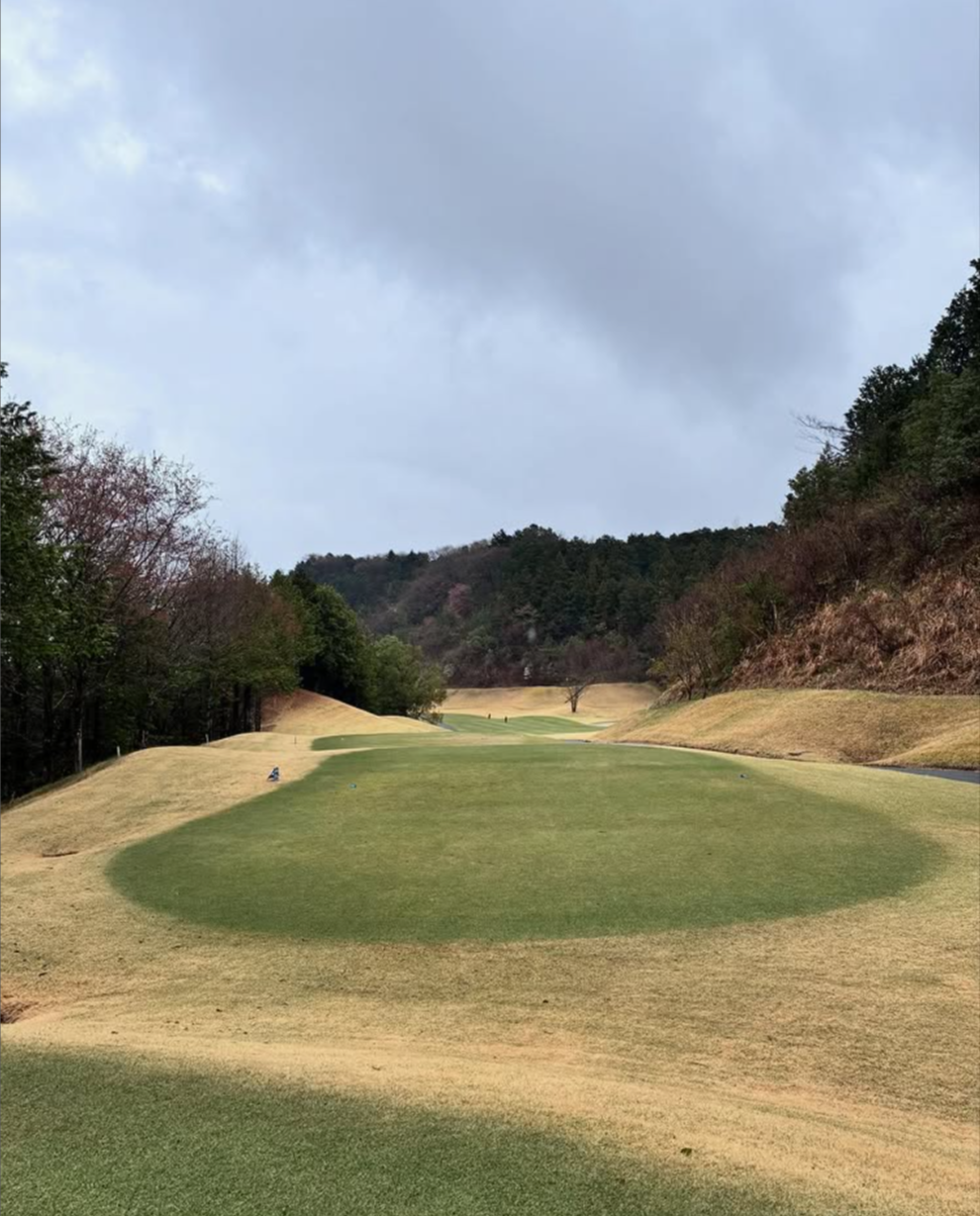 Images VZONEGOLF