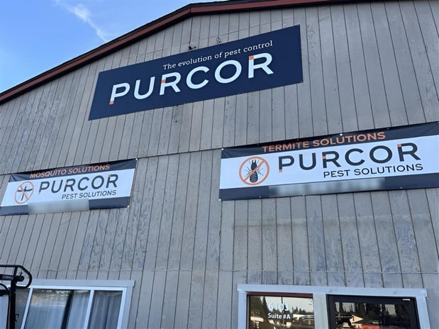 Images PURCOR Pest Solutions