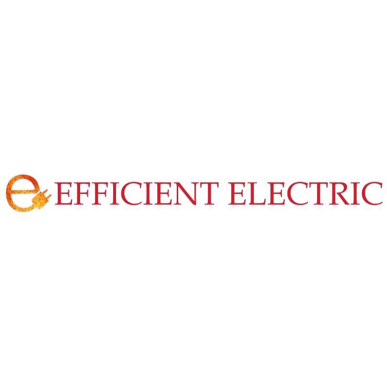 Efficient Electric Logo