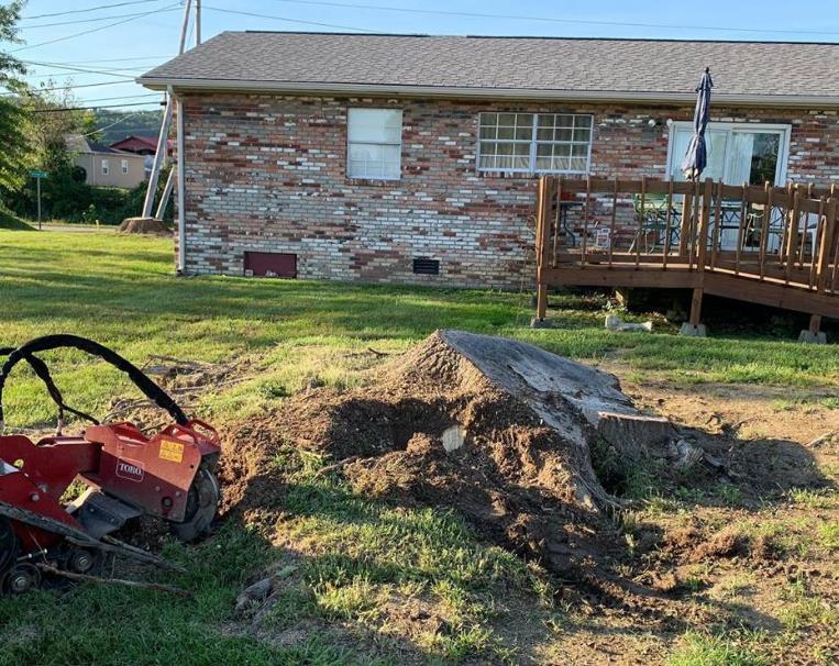 Images Parlock Property Services, LLC