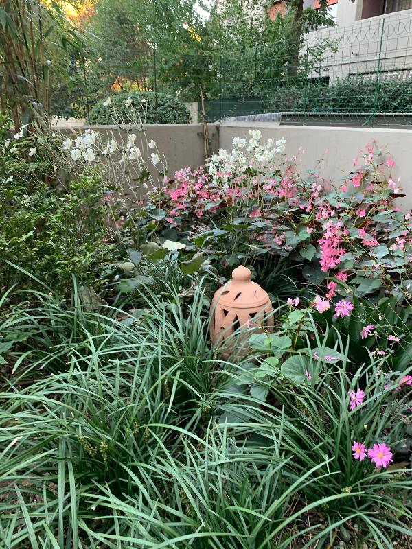 Images Gardening 9010