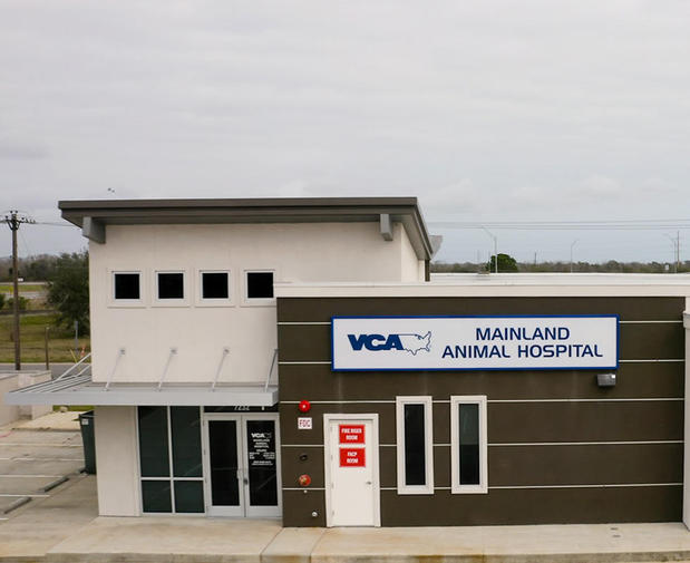 Images VCA Mainland Animal Hospital