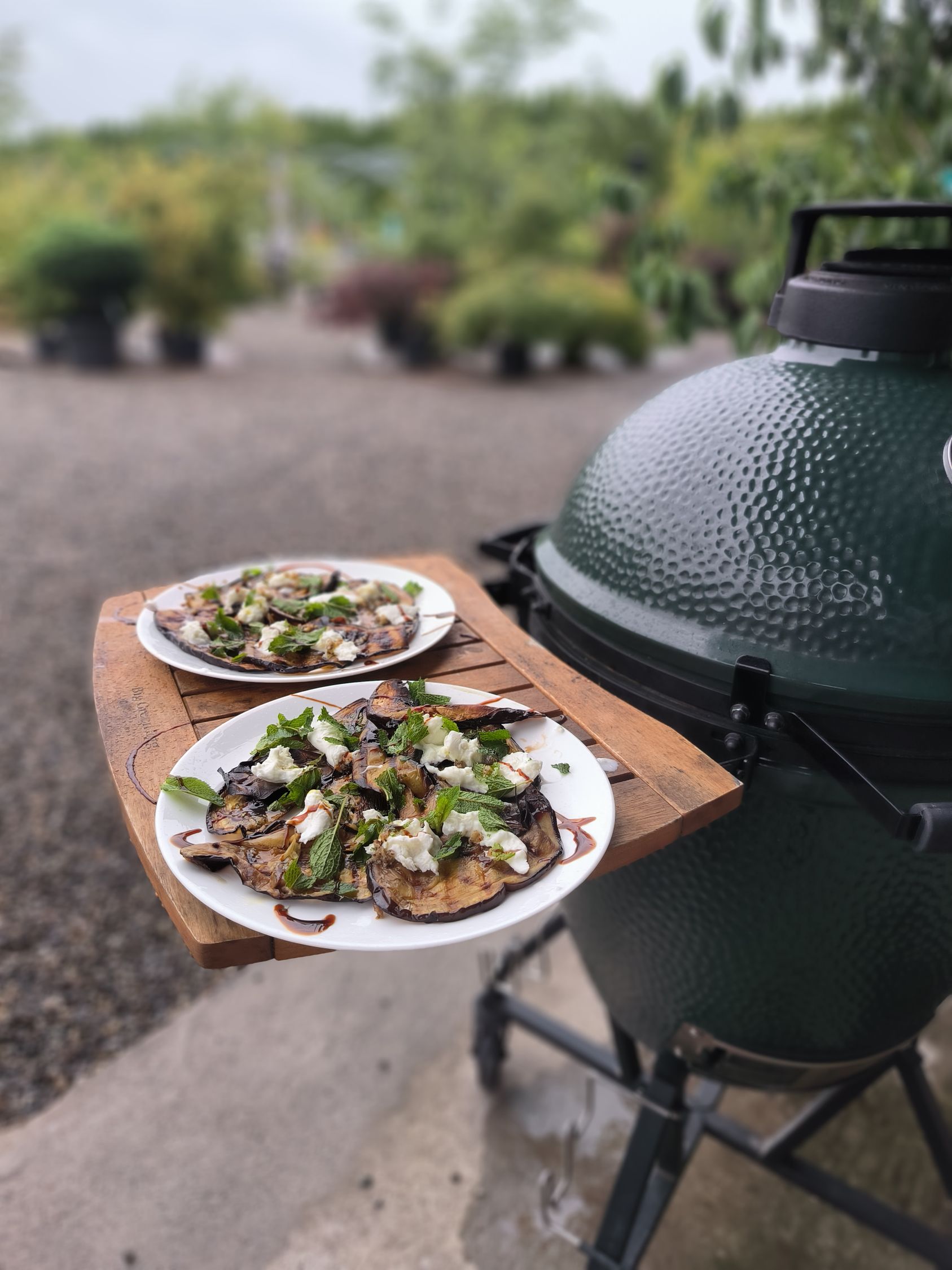 Bilder wüthrich pflanzen ag