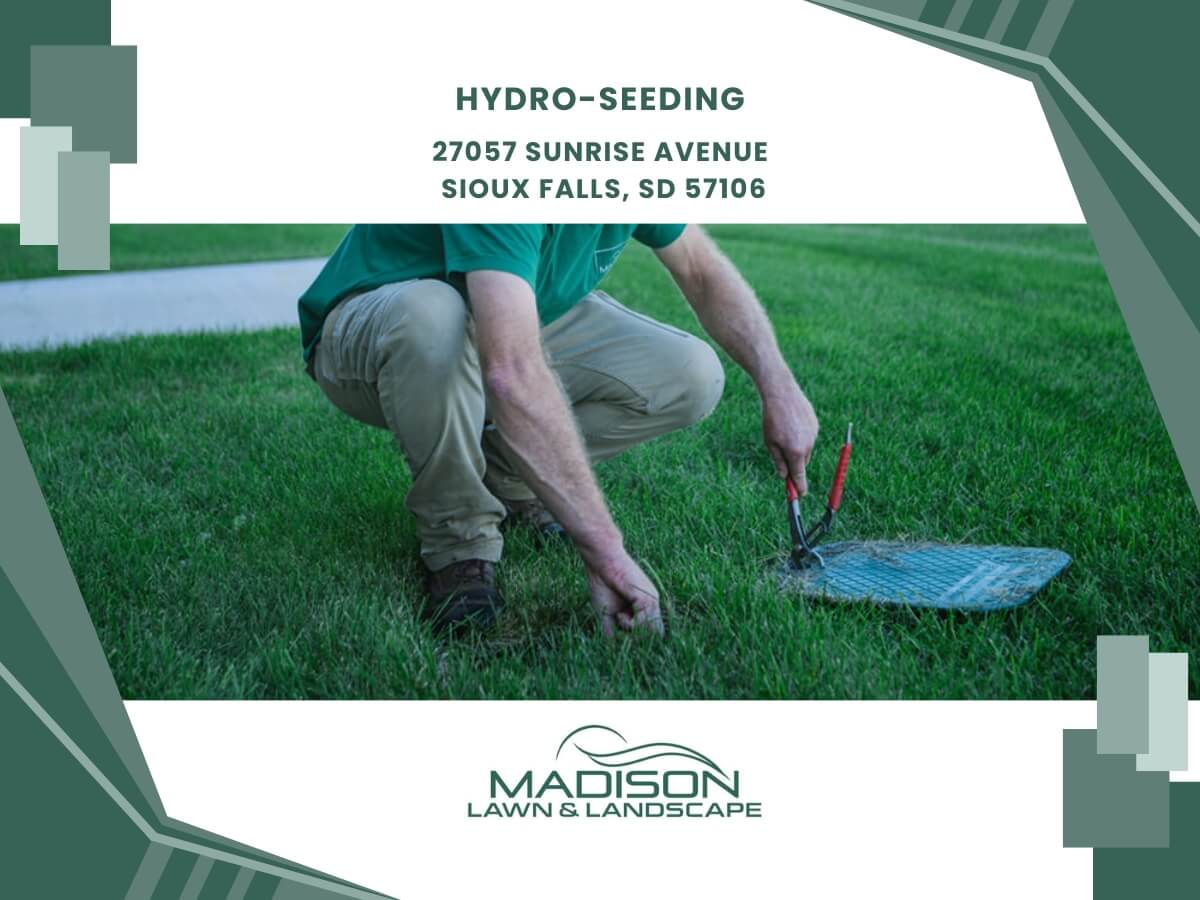 hydro-seeding