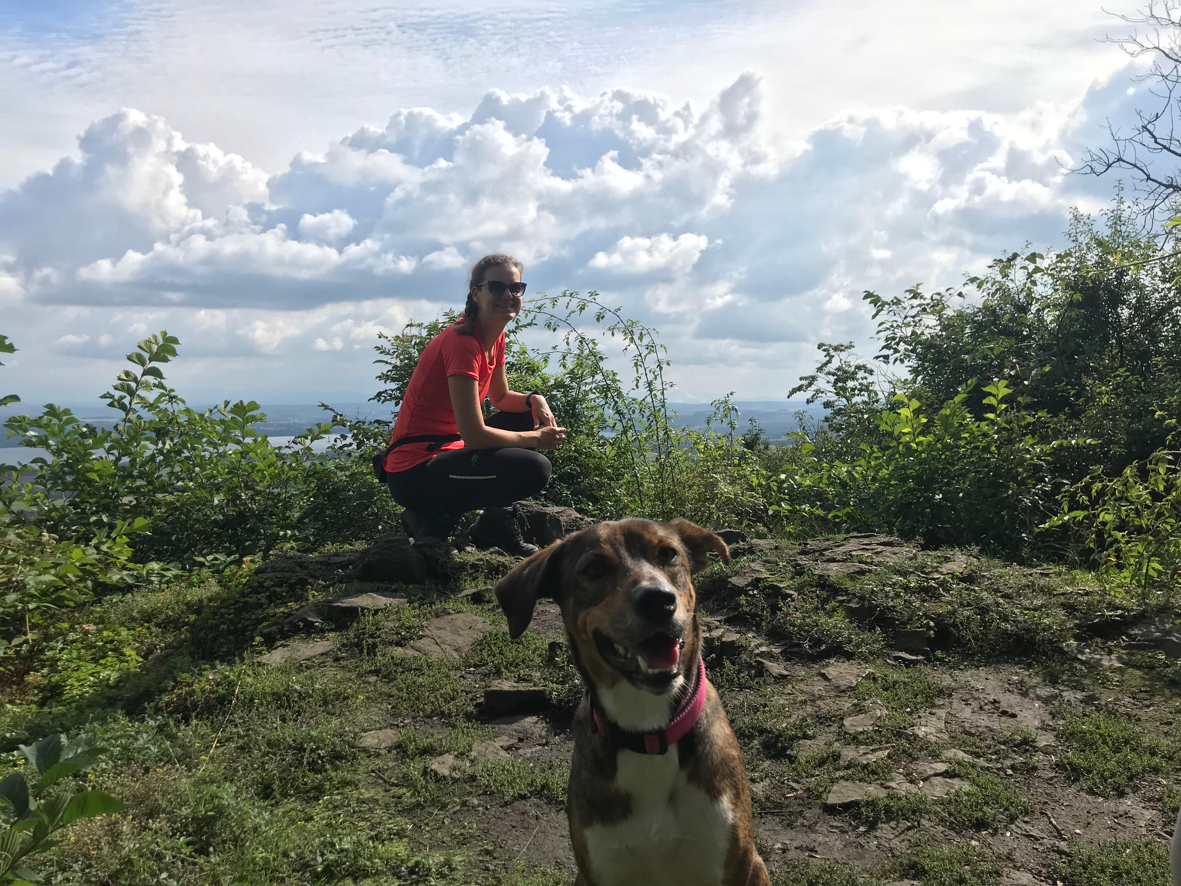 BARF Concept, Burgstädtler Str. 37 in Dohna