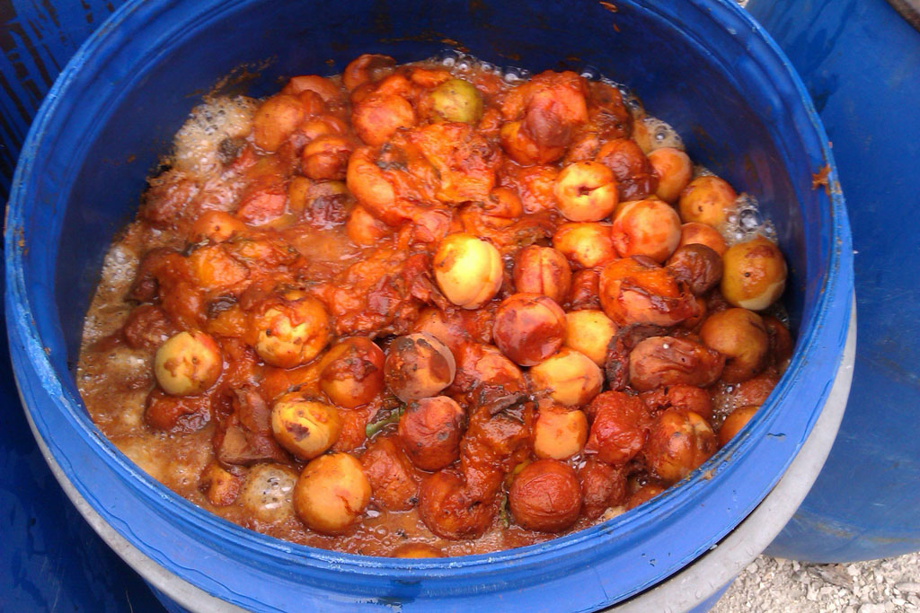 Images AlcoMet Kft. CEFREKOMMANDÓ