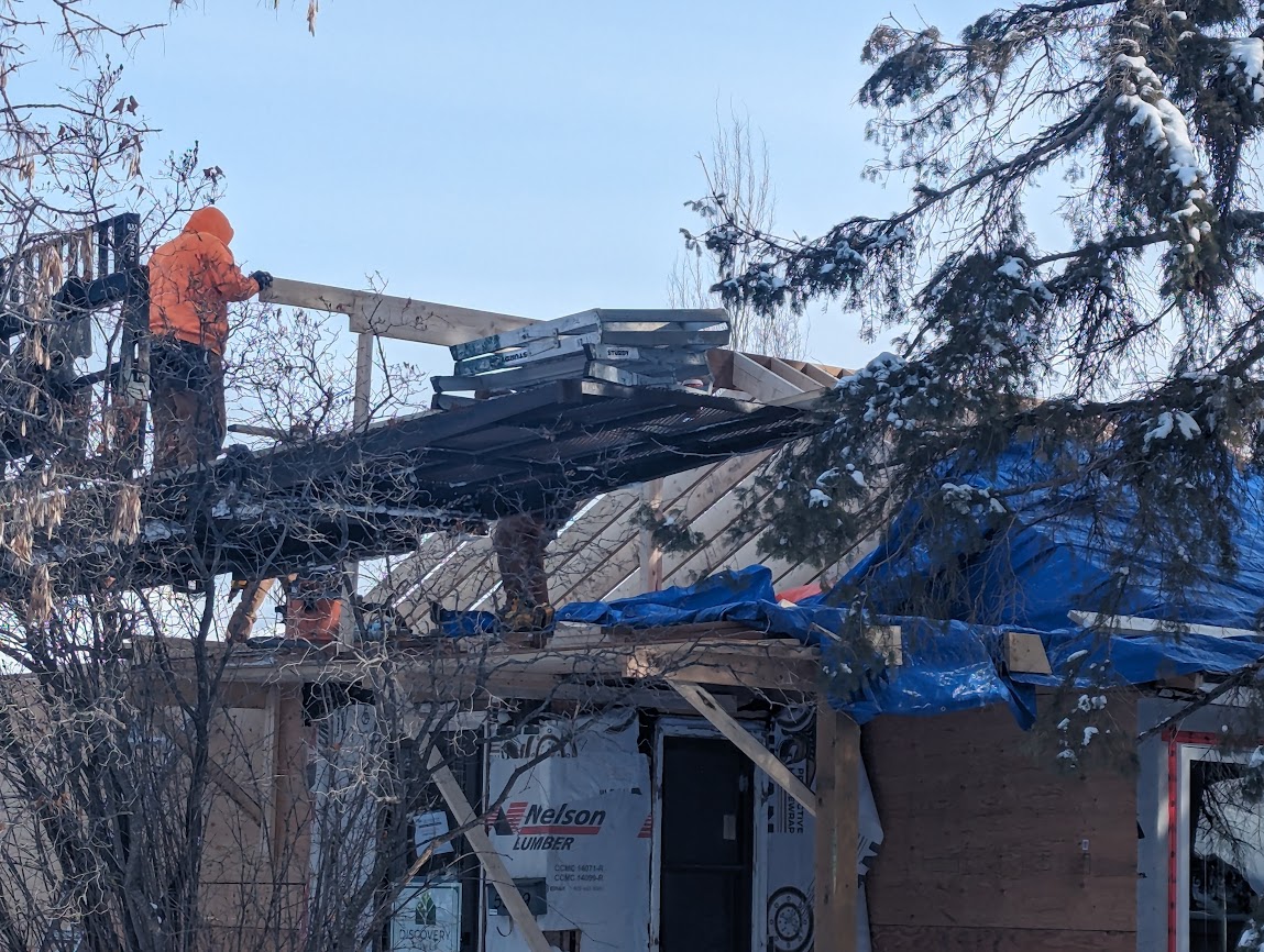 Images The Blue Spruce Builder