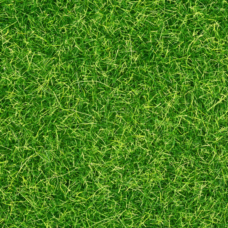 Images Green Elite - Prati sintetici Milano