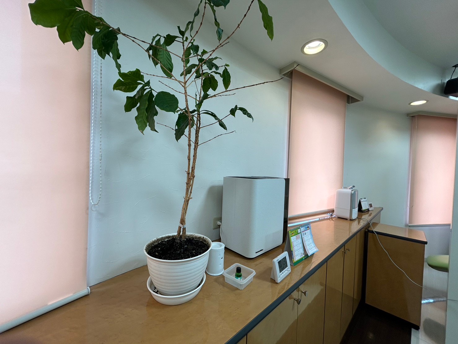 Images こばやし矯正歯科クリニック