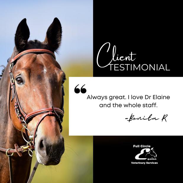 Images FULL CIRCLE EQUINE VETERINARY SERVICES